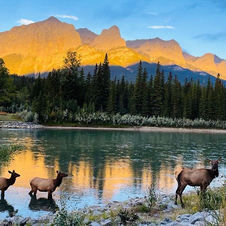 #304 Mountain View 1Br In Canmore Dt מראה חיצוני תמונה