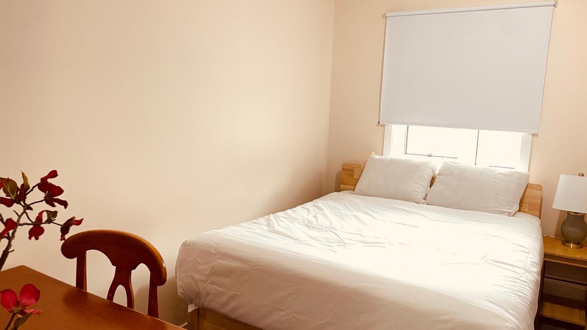 #304 Mountain View 1Br In Canmore Dt מראה חיצוני תמונה